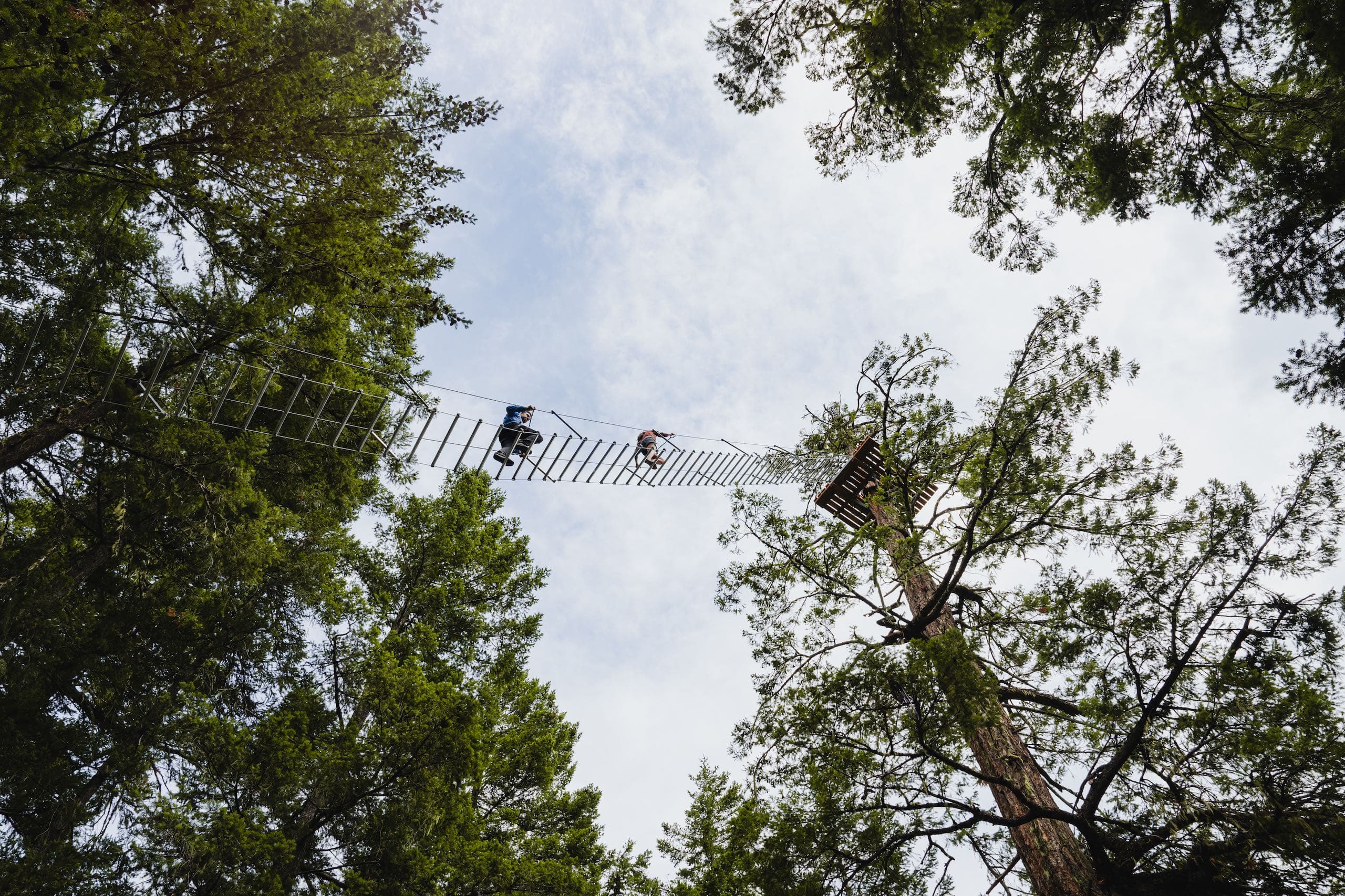 People walking up a wooden rope staircase