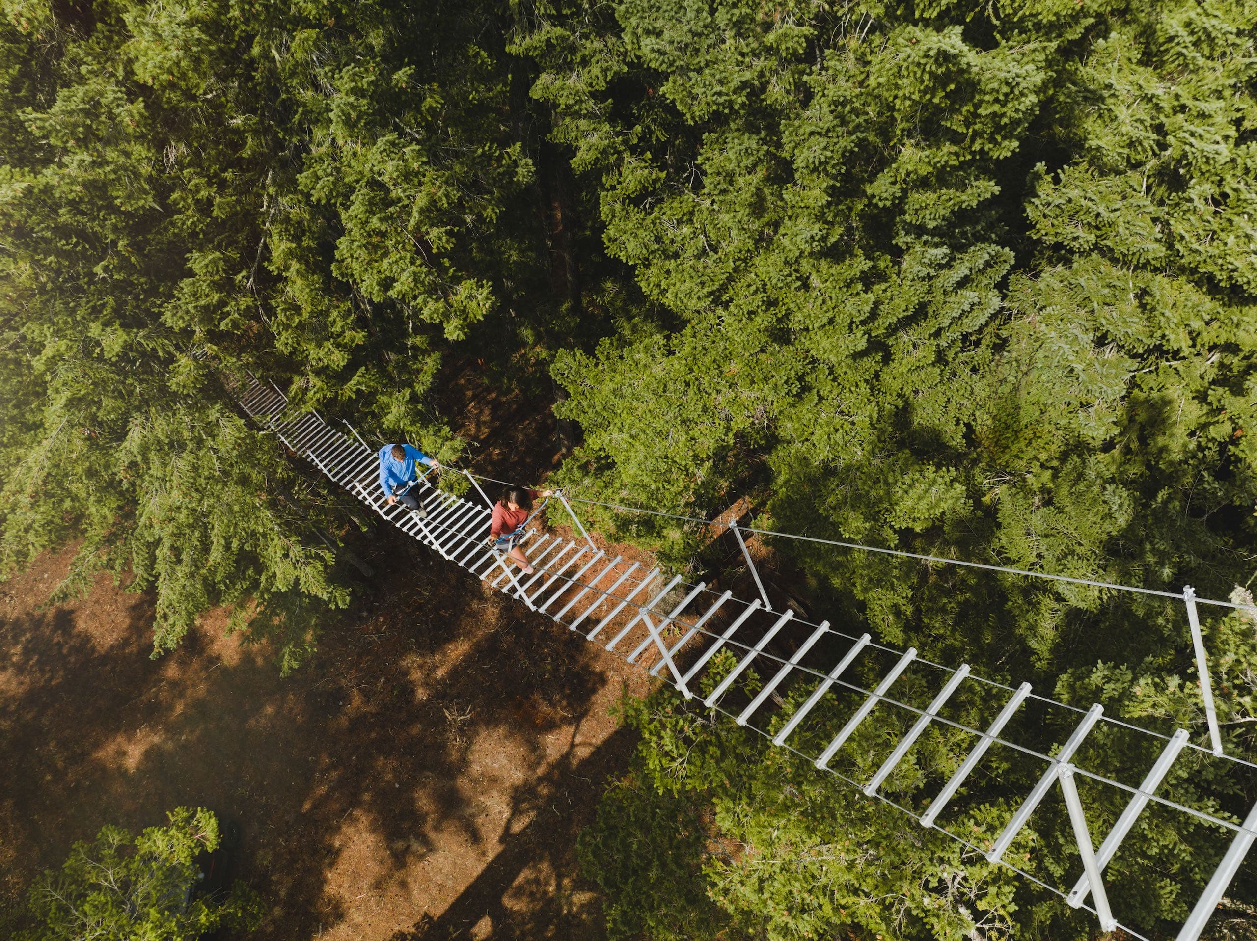 People walking up a wooden rope staircase