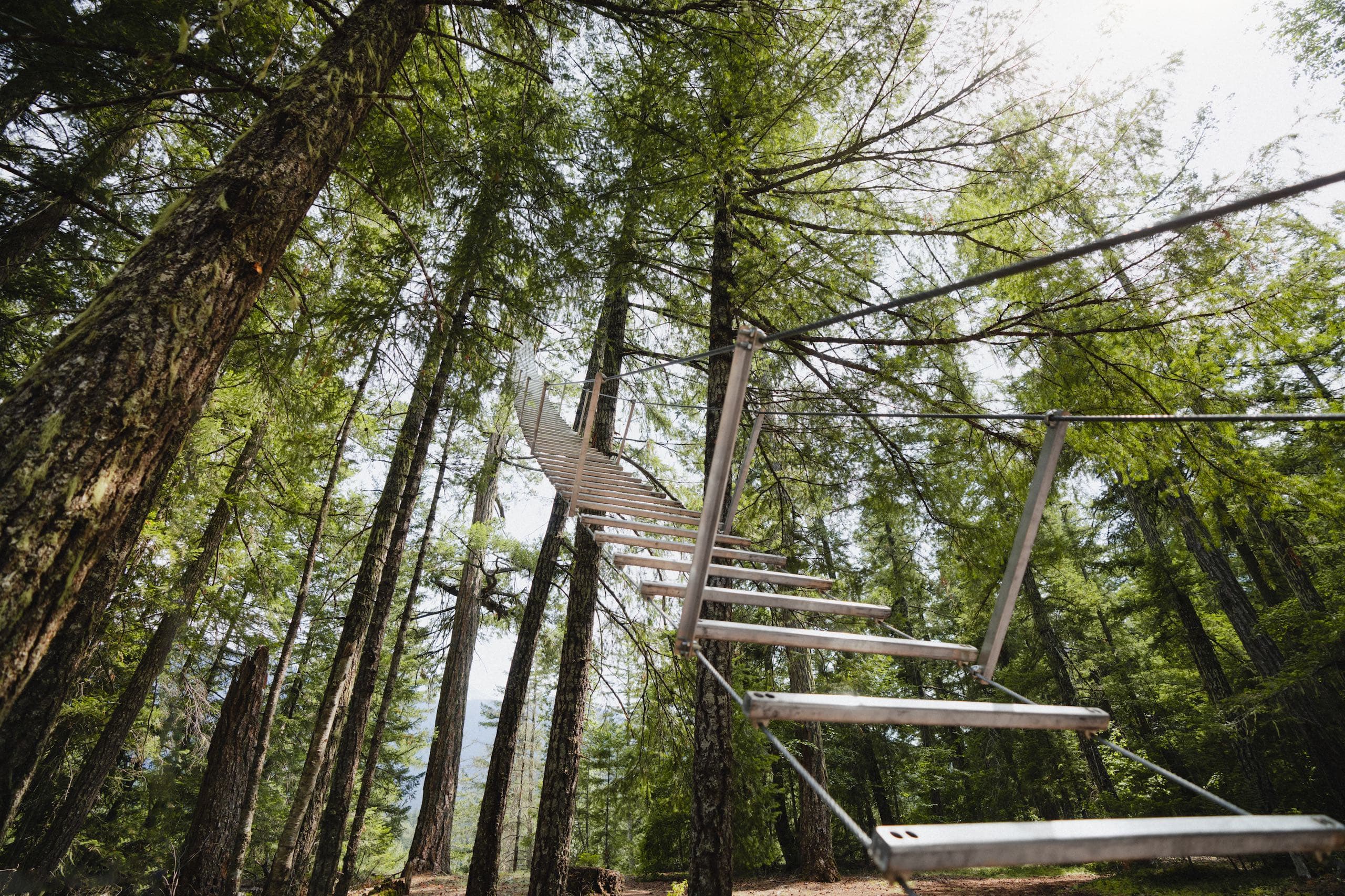 A rope stair case leading to a wooden platform in a tree