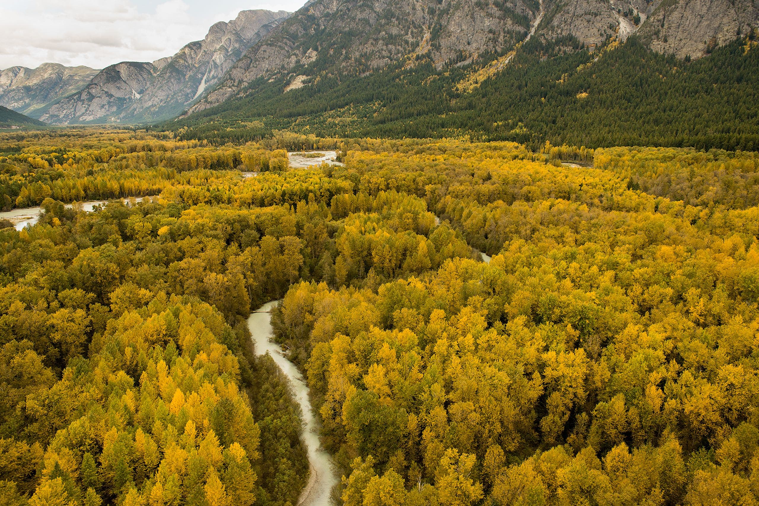 Aerial of a river running through the woods