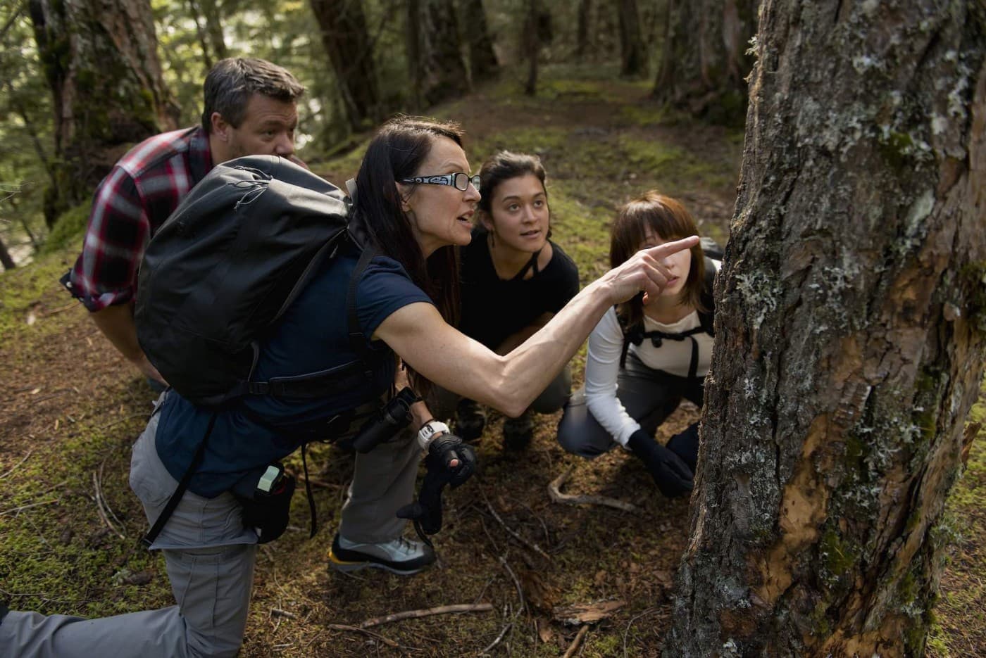 A group of people inspecting a tree