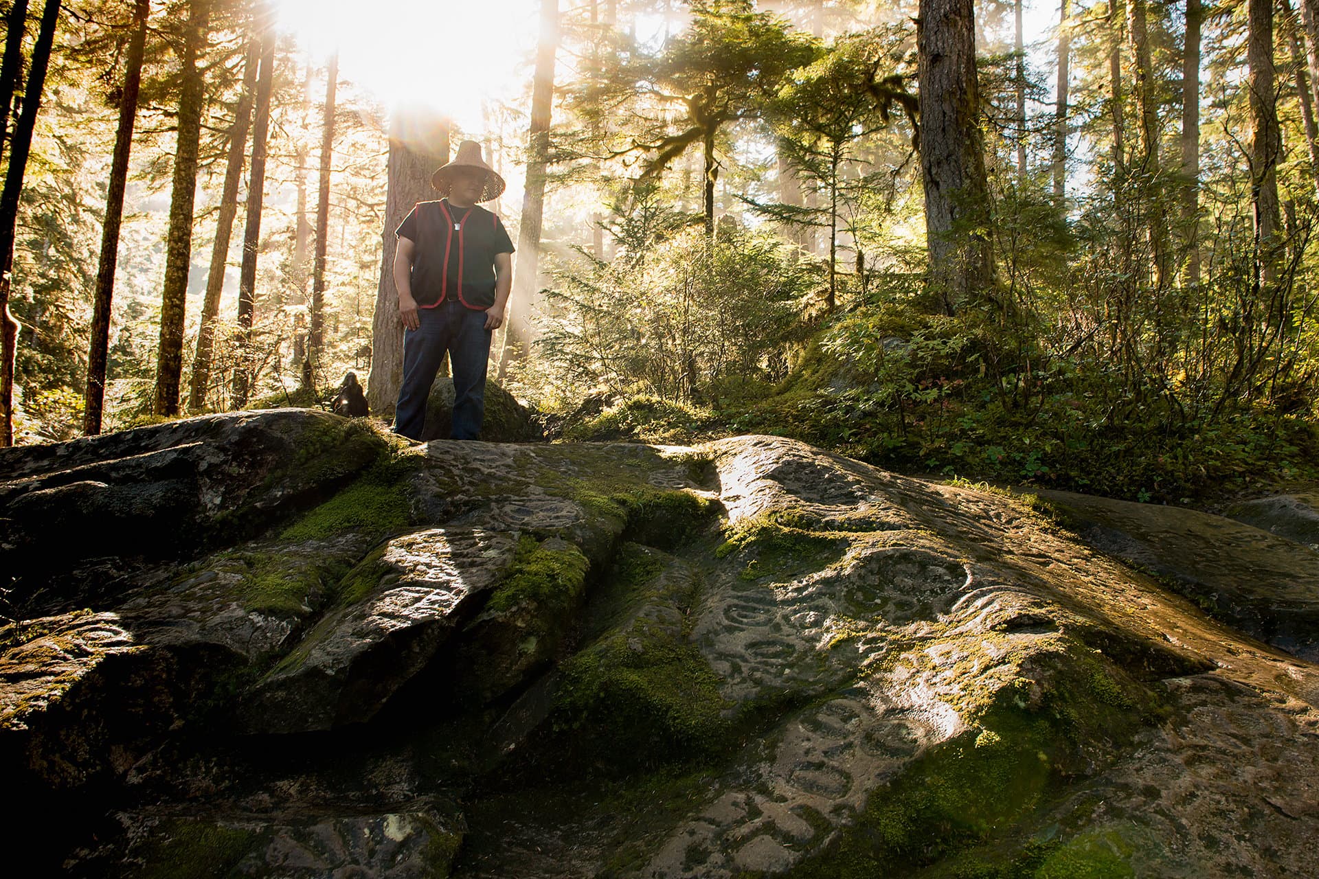the sun shining on a person standing on a rock in the forest