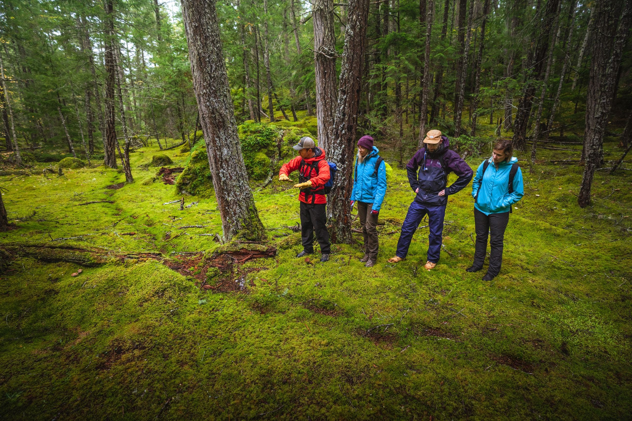 A group of people listening to a guide