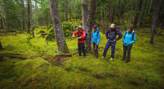 Tweedsmuir Park Lodge Fall 2020 Jesaja Class World Environment Day blog