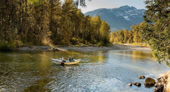 river drift in the Great Bear Rainforest